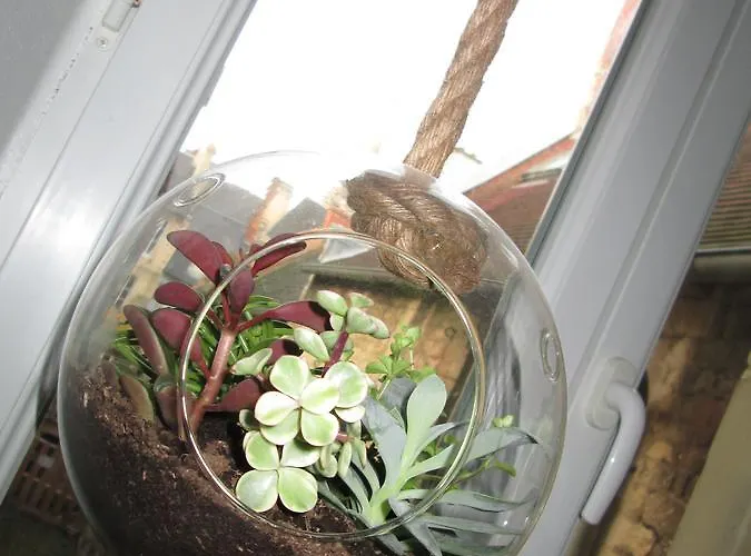 Les Croisiers Appartement